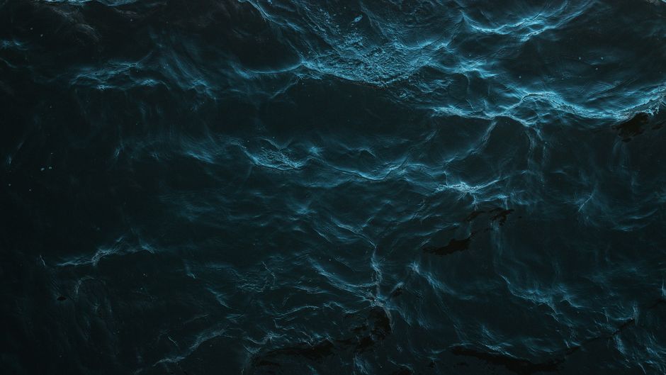 海の広い水中
